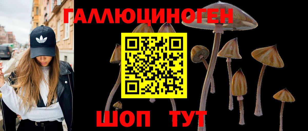 Псилоцибиновые грибы ЛСД  Галлюциногенные грибы Magic Shrooms  Вход с VPN  где найти наркотики  Спасск-Дальний 