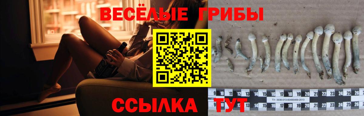 Псилоцибиновые грибы Magic Shrooms Спасск-Дальний